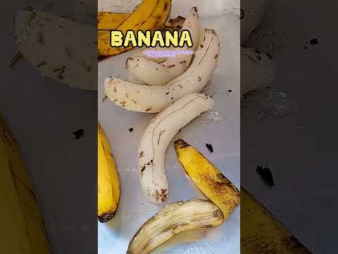 Chicken Banana Chicken Banana Chicken banana banana banana.