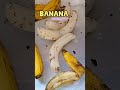 Chicken Banana Chicken Banana Chicken Banana Banana Banana