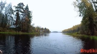Ссылка