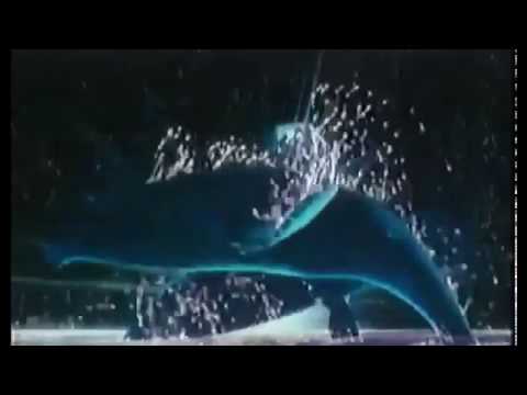 Tráiler Fantasía 2000 1999
