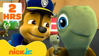 Download lagu TURTLE-y Cool Moments with PAW Patrol! 🐢 | 2 Hours | Nick Jr. mp3
