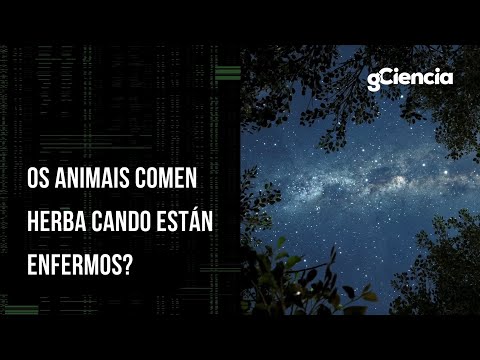 Vídeo: Os animais comen herba cando están enfermos?