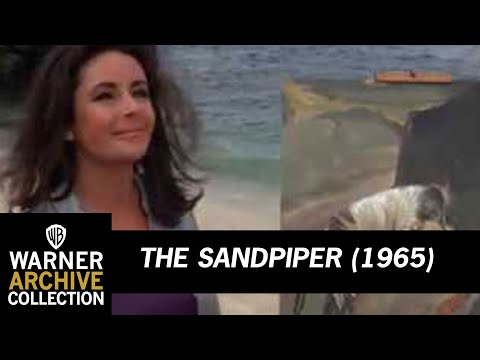 Open | The Sandpiper | Warner Archive