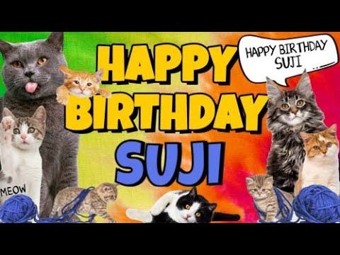 Happy Birthday Suji! Crazy Cats Say Happy Birthday Suji (Very Funny)