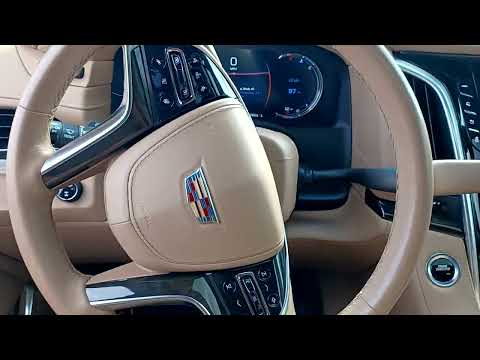 how to use the park assist feature in a 2019 Cadillac Escalade