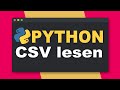 CSV Dateien Mit Python öffnen Einfaches Tutorial Für Anfängerinnen Und Anfänger Deutsch 2021