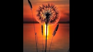 Joni James - I Believe   {Give Us This Day}