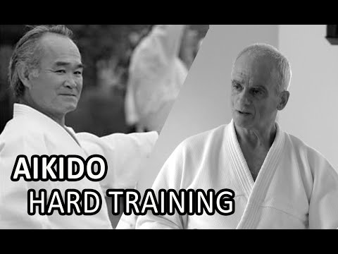 AIkido Training, Chiba Sensei and Terry Ezra Sensei