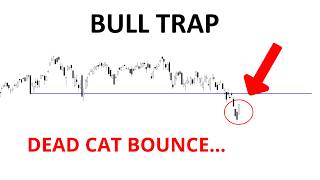 Technical Analysis of Stocks: SPY / QQQ / NVDA / TSLA / AMD / PLTR / AVGO