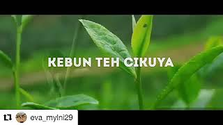 Download lagu Trip kebun teh cikuya Lebak Banten mp3