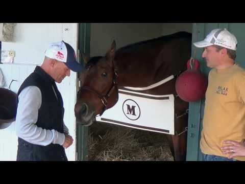 Beholder's Final Day at the Track - Nov. 20, 2016 at Santa Anita Park