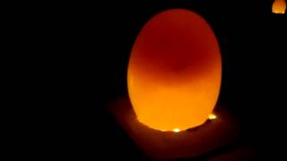 Identifying good eggs in candeling