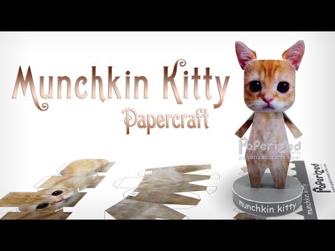 Munchkin Kitty (El Gato) Paperized