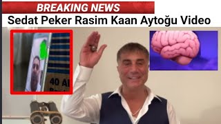 sedat peker rasim kaan aytoğu video|sedat peker ihlas holding video-ih