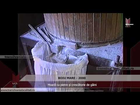 BOIU MARE-MM (2000) - Moară cu pietre și crescătorie de găini ouătoare