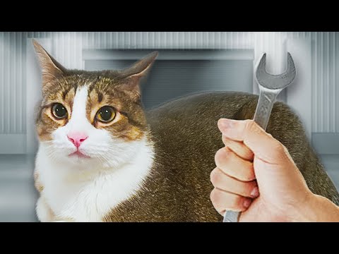 How To Maintenance Your Car