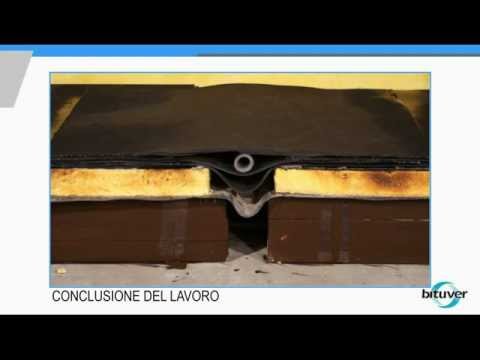 Dolore lancinante alla schiena sinistra sotto la scapola Dolore dietro lorecchio, parte posteriore della testa e del collo