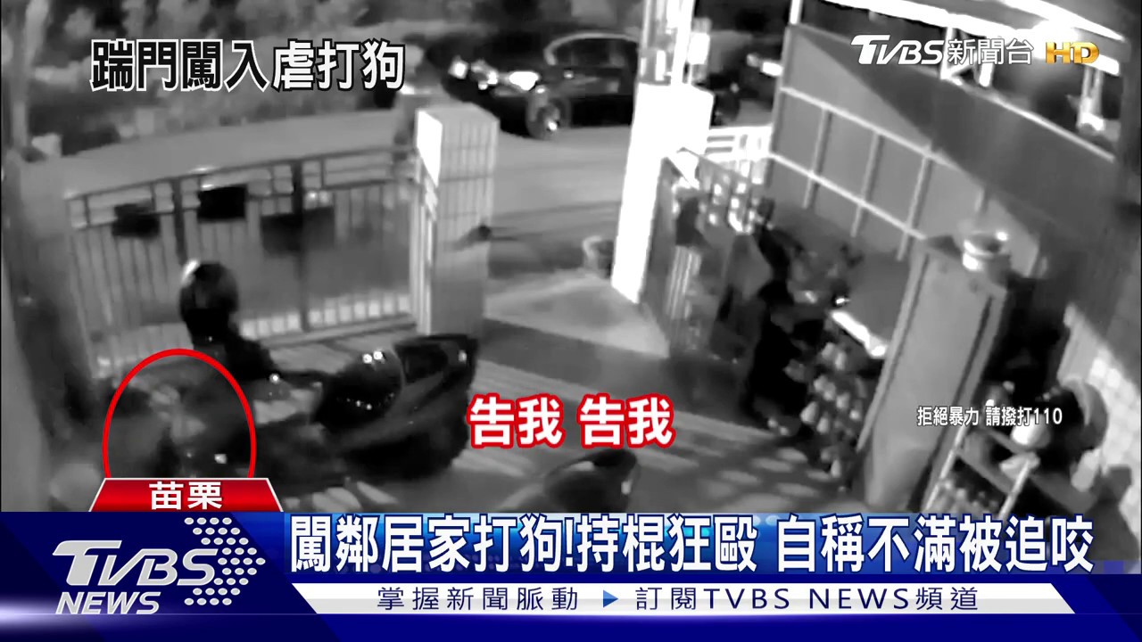 對鄰居狗下毒手!持棍毆狗 聲稱被追咬過
