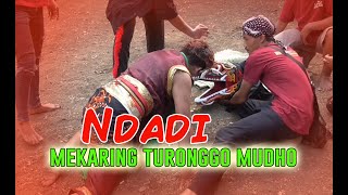 Download lagu Babak Putra Ndadi - MEKARING TURONGGO MUDHO mp3