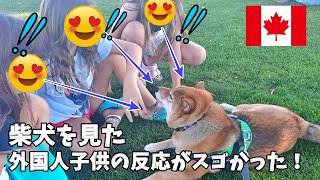 【海外愛され柴犬】海外で大人気! 柴犬を初めて見たカナダ人子供の反応がおもしろすぎ♪【海外の反応】ドッグフェス編