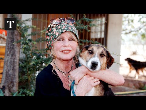 Brigitte Bardot Funeral: Hundreds of Mourners Gather in Saint Tropez