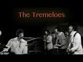 The Tremeloes - Silence is Golden 