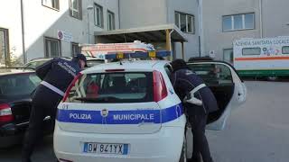 questo-e-vero-amore-per-gli-animali