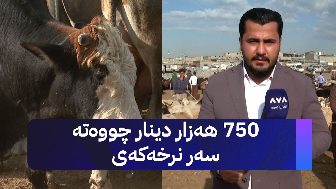 ڤیدیۆ | 750 هەزار دینار چووەتە سەر نرخەکەی