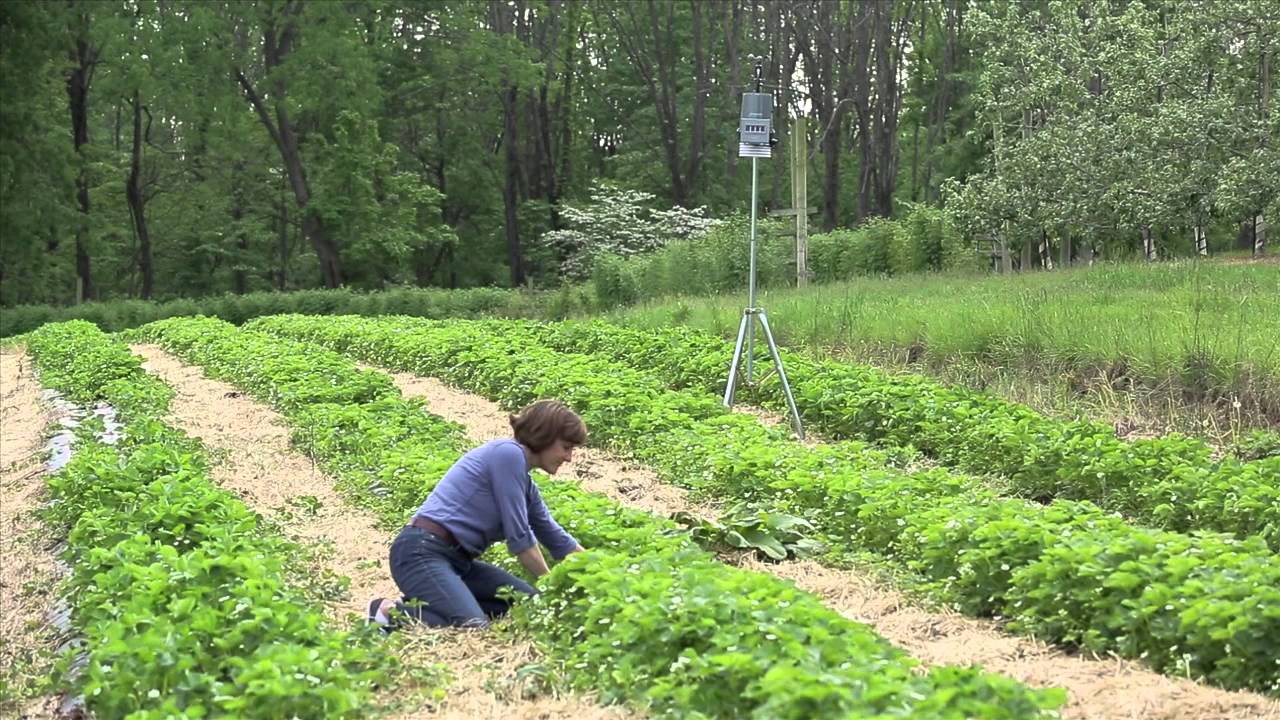 WMR300 - Ultra-Precision Professional Weather System