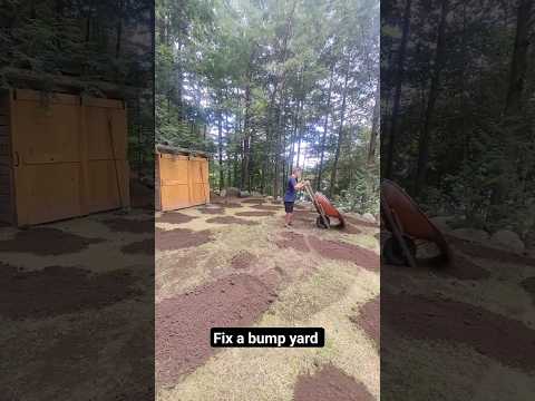 How to fix a bumpy yard. These 2 tools from Landzie make it alot easier. #yardwork #yardtips #lawn