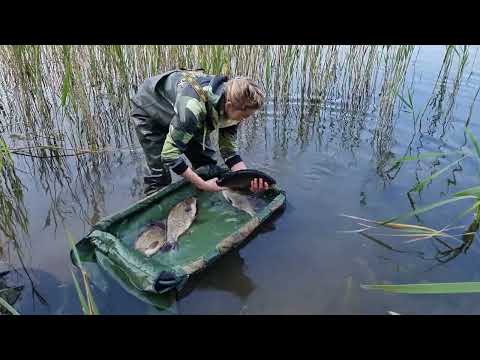 Leszczowo-jaziowa nocka na PZW