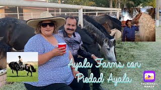 🐴AYALA FARMS CON PIEDAD AYALA| DONA SILVIA🐴