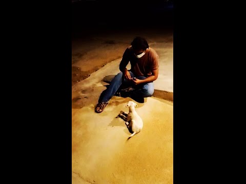 Yazdan The Dog Trainer |Trailer |Teaser