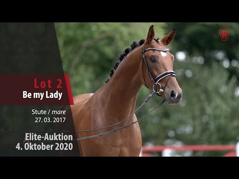 Elite-Auktion 4. Oktober 2020 Lot 2 Be my Lady Stute v. Bonds - Ehrenpreis
