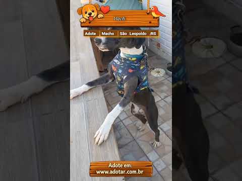 Vídeo de Hank