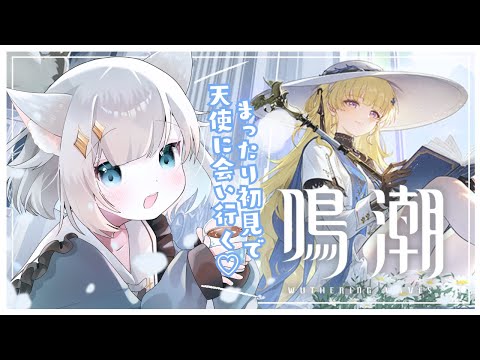 【#鳴潮  /Wuthering Waves】フィービー可愛すぎませんか💙？のんびり探索したりストーリーすすめたり🫧【#新人vtuber 】 thumbnail