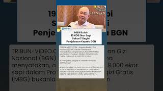 MBG BUTUH 19.000 EKOR SAPI SEHARI? Begini Penjelasan Kepala BGN Dadan Hindayana