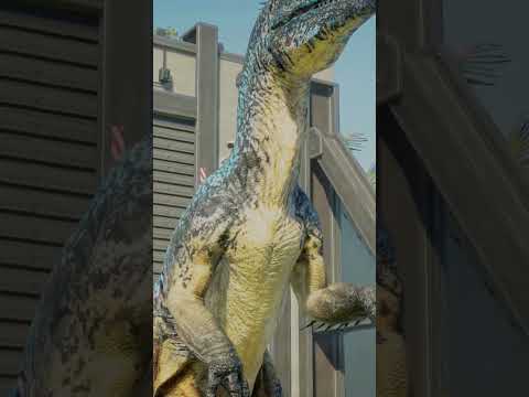 Allosaurus vs Megaraptor. #dinosaur #dinofight #allosaurus #megaraptor #jurassicworldevolution2