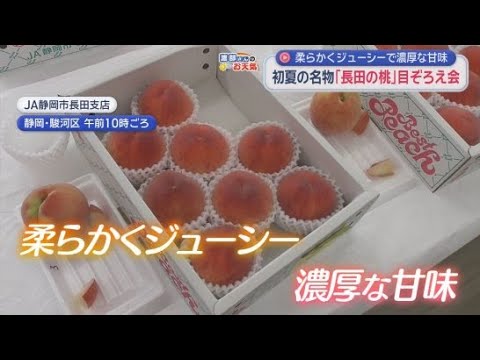 YouTube Video 「果実の品質は非常に良い」初夏の名物・長田の桃の目ぞろえ会　静岡市駿河区
