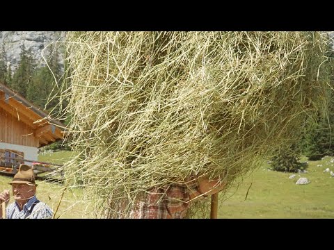 Der Duft von Heu auf der Unteren First