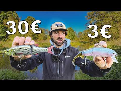 3€ vs. 30€ Köder – Was fängt besser? 🎣 Hechtangeln