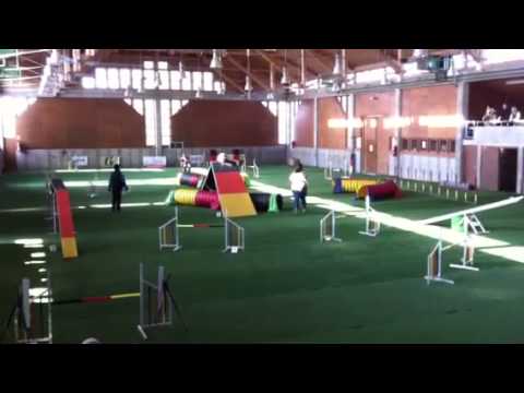 Biebesheim am 11.02.2012