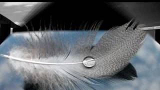 Cristiano De Andrè - Tracce