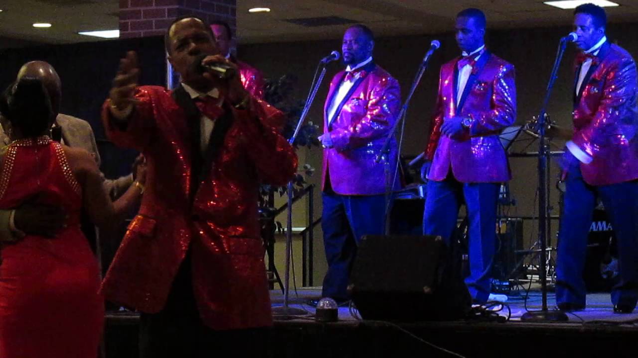 Promotional video thumbnail 3 for The Palovations