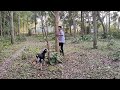 The Man Amazing Boy Goat Sweet Goat Xxx Video