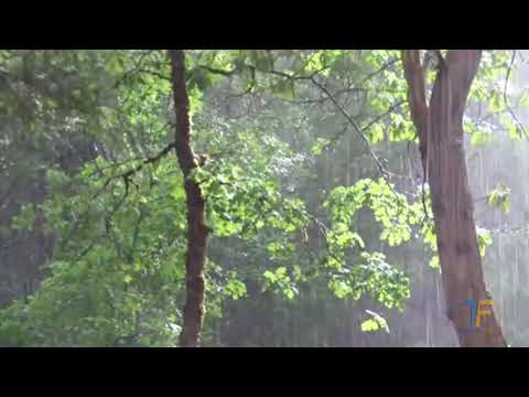 Alice e Alessandro Eu Achei