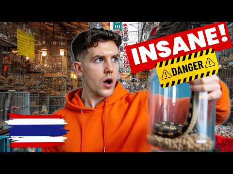 Inside The CRAZIEST Pet Market In Thailand...