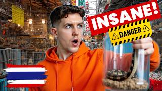 Inside The CRAZIEST Pet Market In Thailand... MQDEFAULT Thumbnail