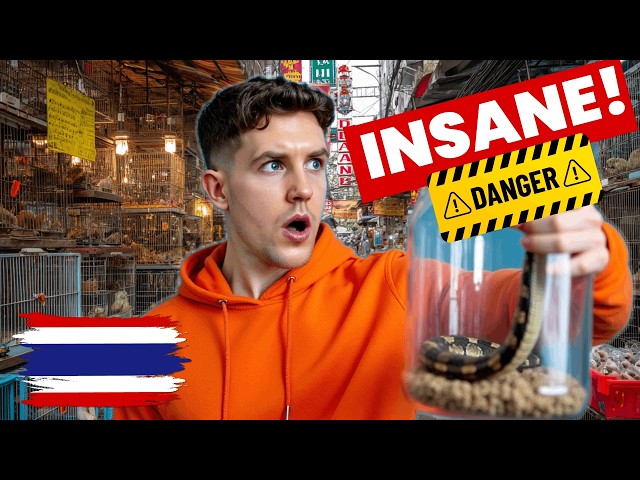 Inside The CRAZIEST Pet Market In Thailand... SDDEFAULT Thumbnail