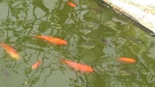 What&#39;s Going On Here - March